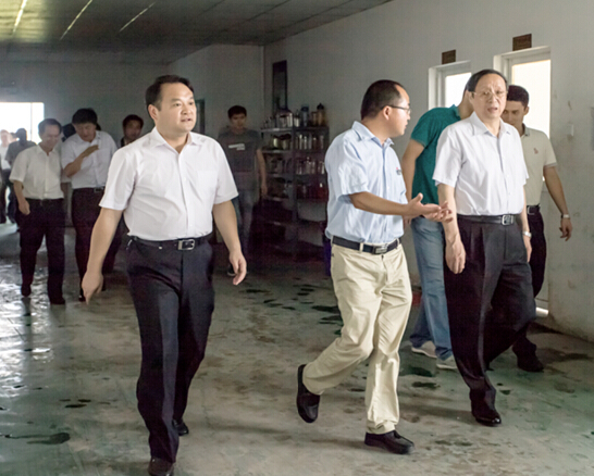 安徽省委副書(shū)記、省長(zhǎng)王學(xué)軍蒞臨安徽柯力視察